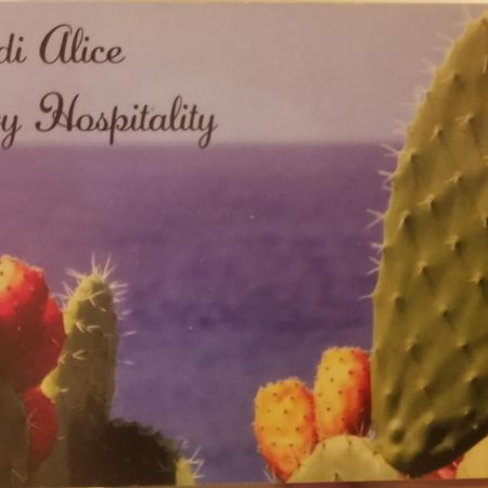Casa Di Alice Luxury Hospitality - Elevator, Fast Wifi Apartamento Syracuse Exterior foto